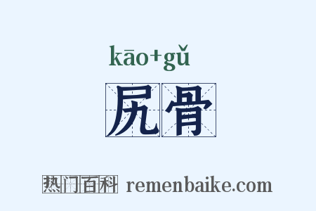 尻骨是什么意思的图片